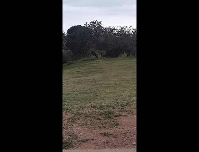 LAND FOR SALE IN MOOKGOPONG